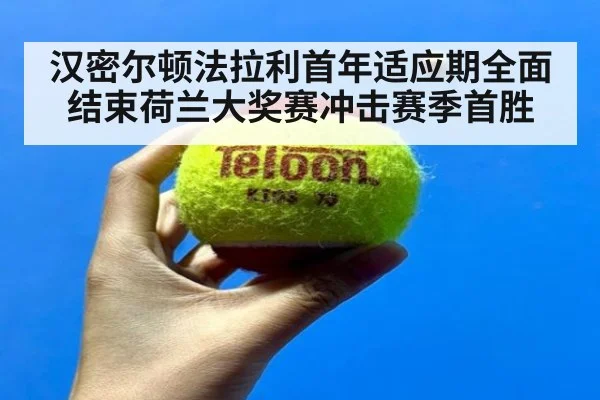 汉密尔顿法拉利首年适应期全面结束荷兰大奖赛冲击赛季首胜
