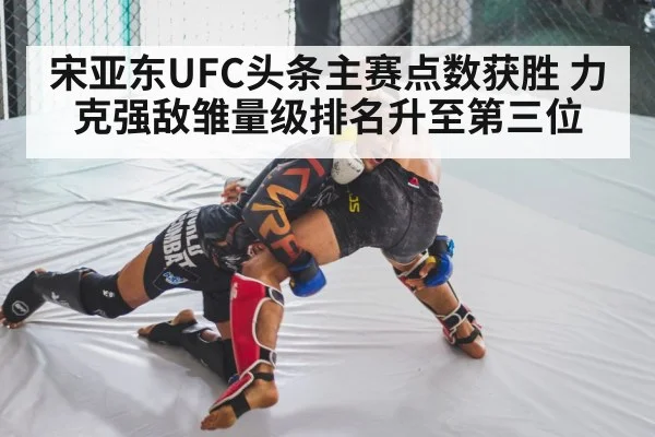 MMA wrestling
